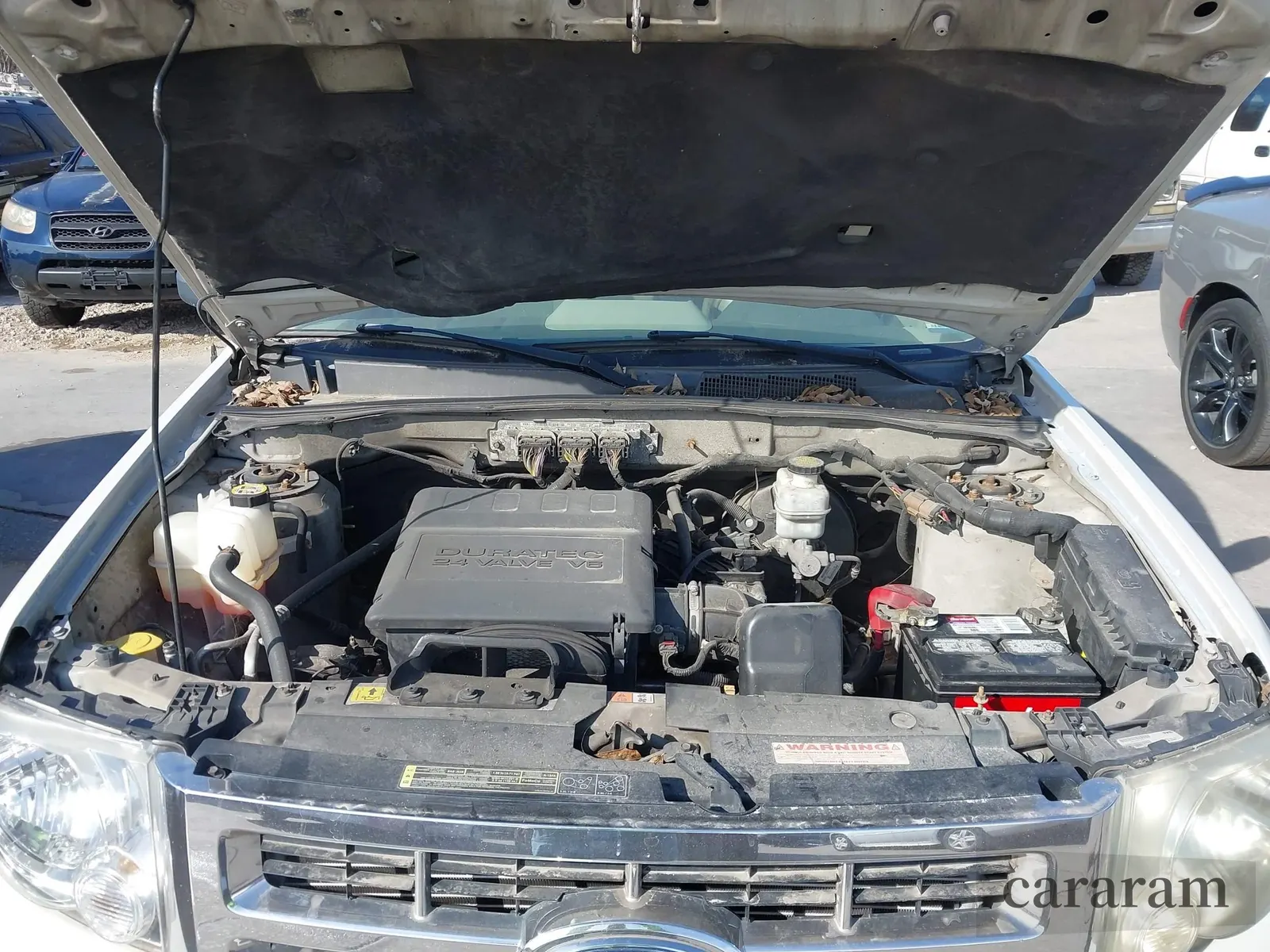 2009 Ford Escape XLT