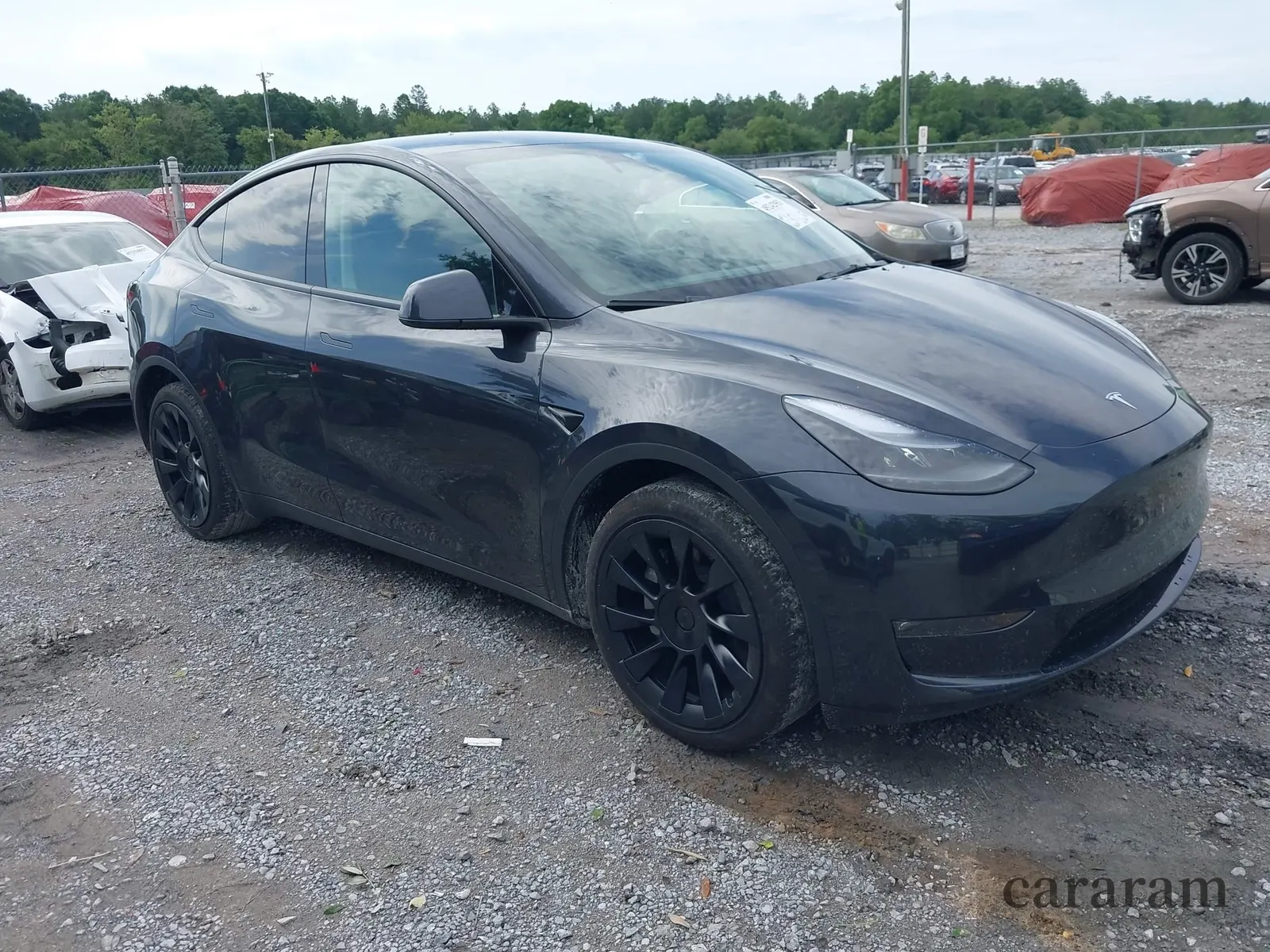 2024 Tesla Model Y Long Range