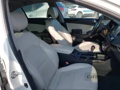 2014 Kia Cadenza Premium