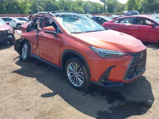 2023 Lexus NX 350h Luxury