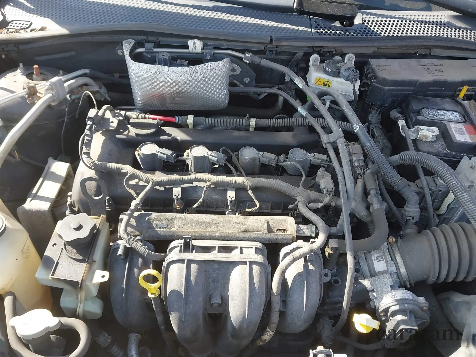 2010 Ford Focus S