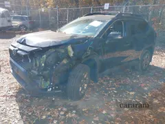 2024 Toyota RAV4 Hybrid Woodland