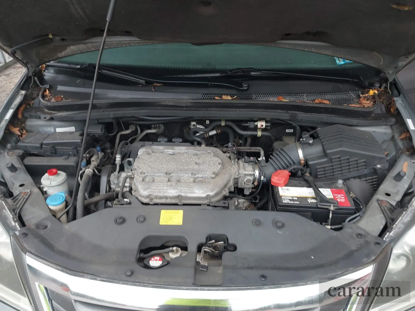 2008 Honda Odyssey EX-L