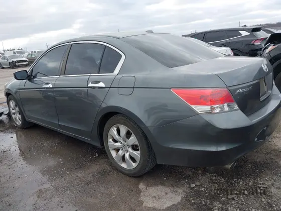 2010 Honda Accord EX-L
