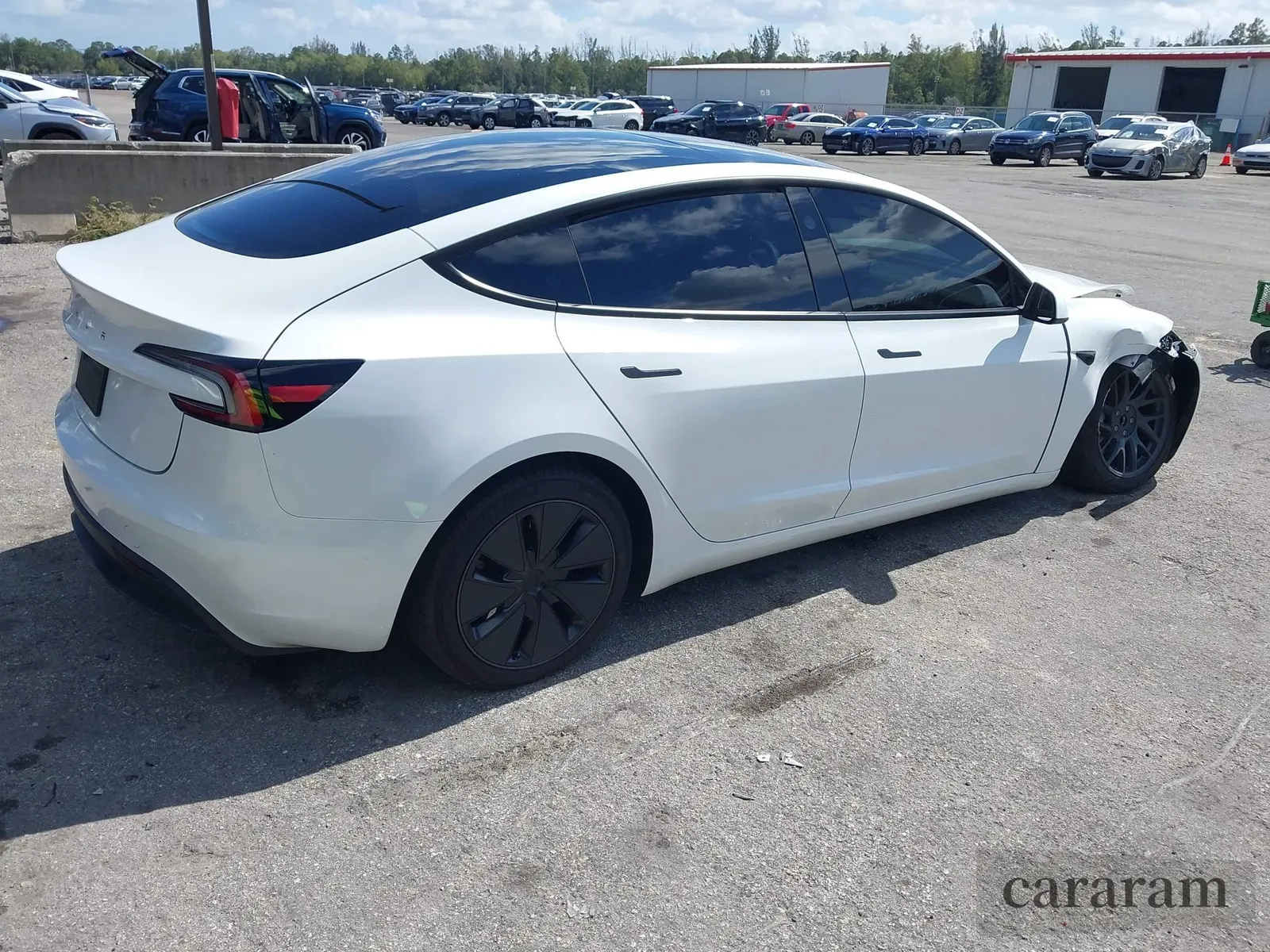 2025 Tesla Model 3 Long Range