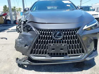 2024 Lexus NX 250