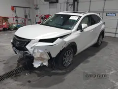 2019 Lexus NX 300