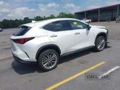 2024 Lexus NX 350h Luxury