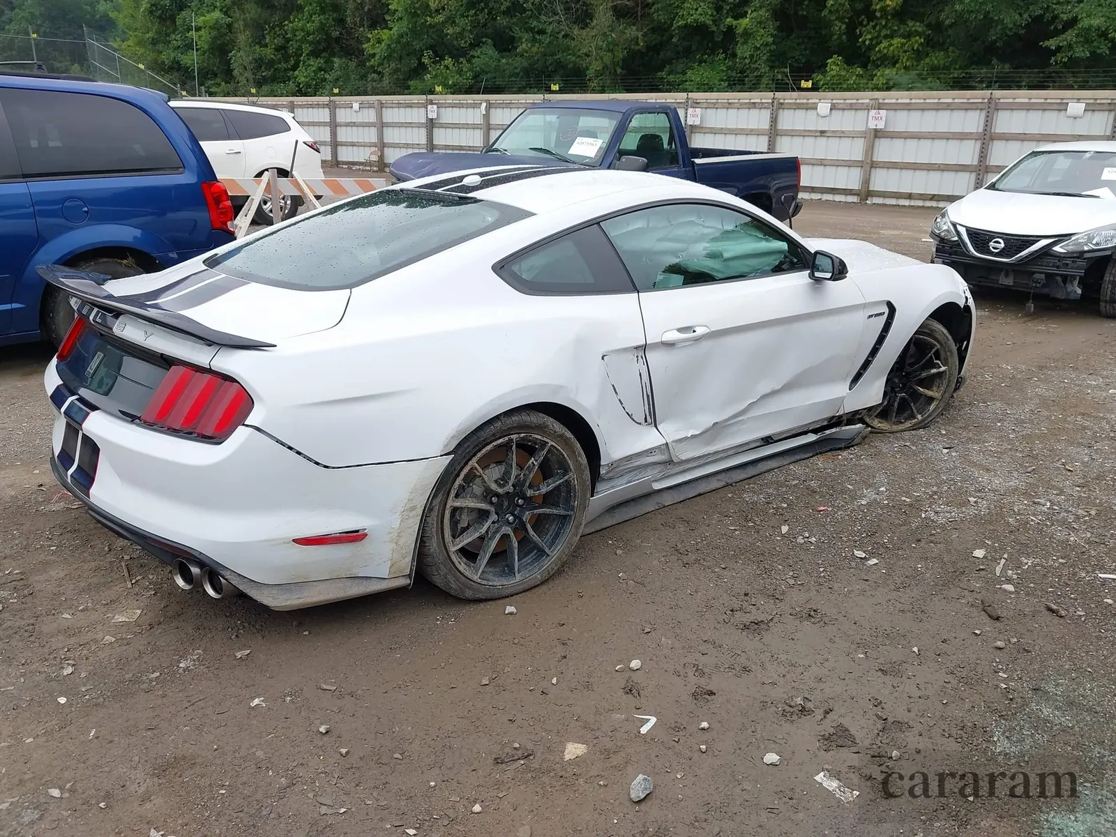 2019 Ford Mustang Shelby GT350