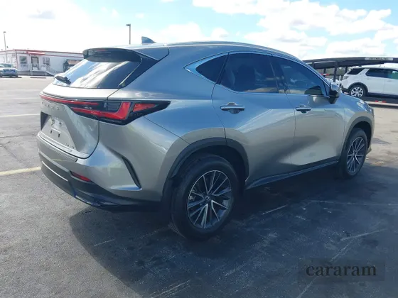 2025 Lexus NX 350 Luxury