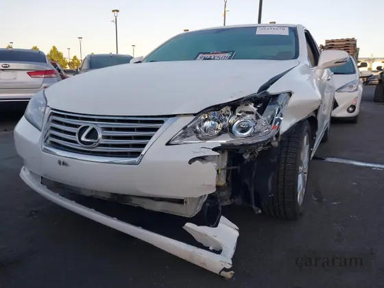 2010 Lexus ES 330