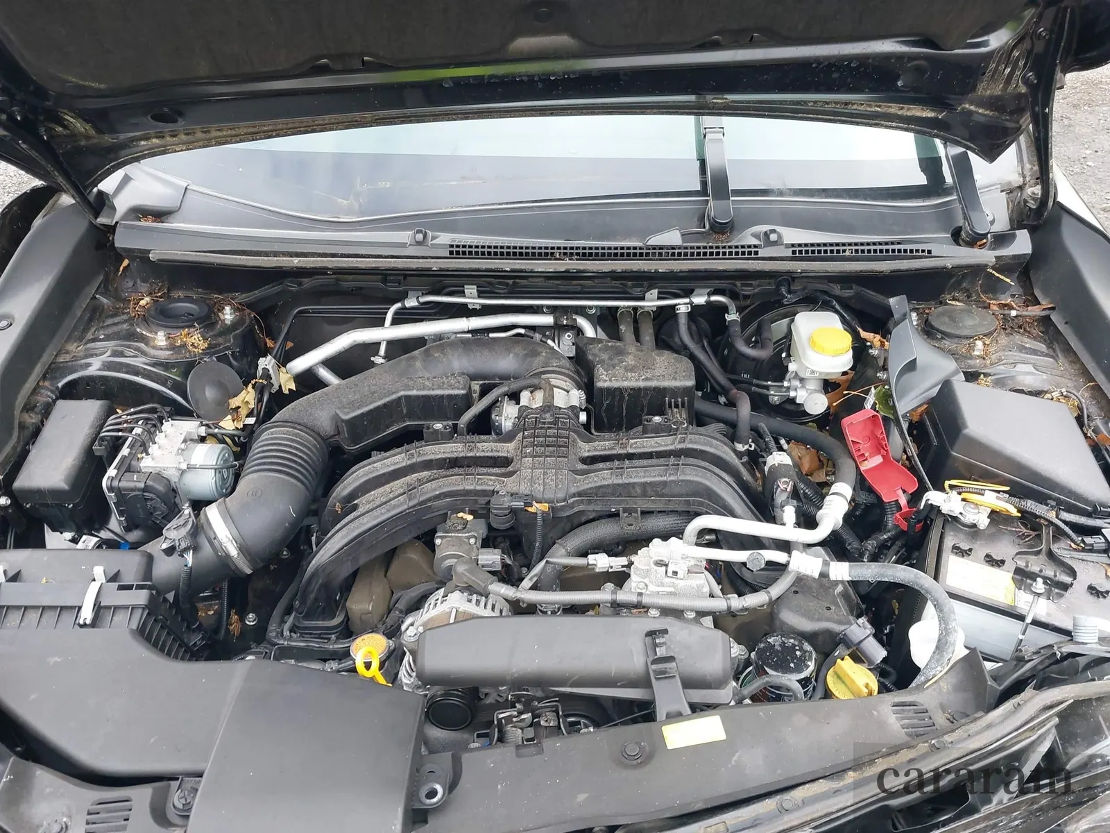 2022 Subaru Crosstrek Special Sports