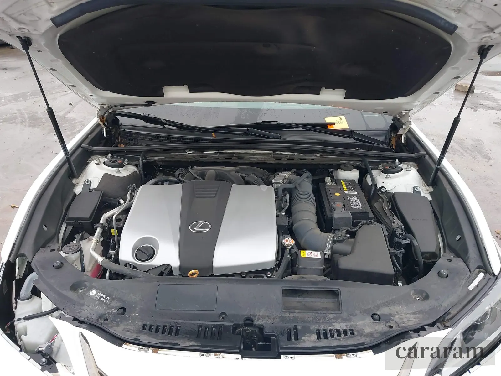 2019 Lexus ES 350