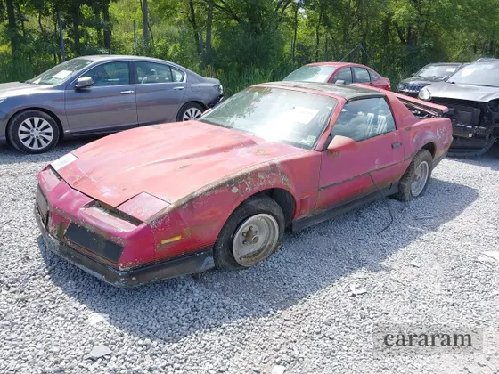 1984 Pontiac Firebird Trans Am