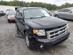 2009 Ford Escape XLT