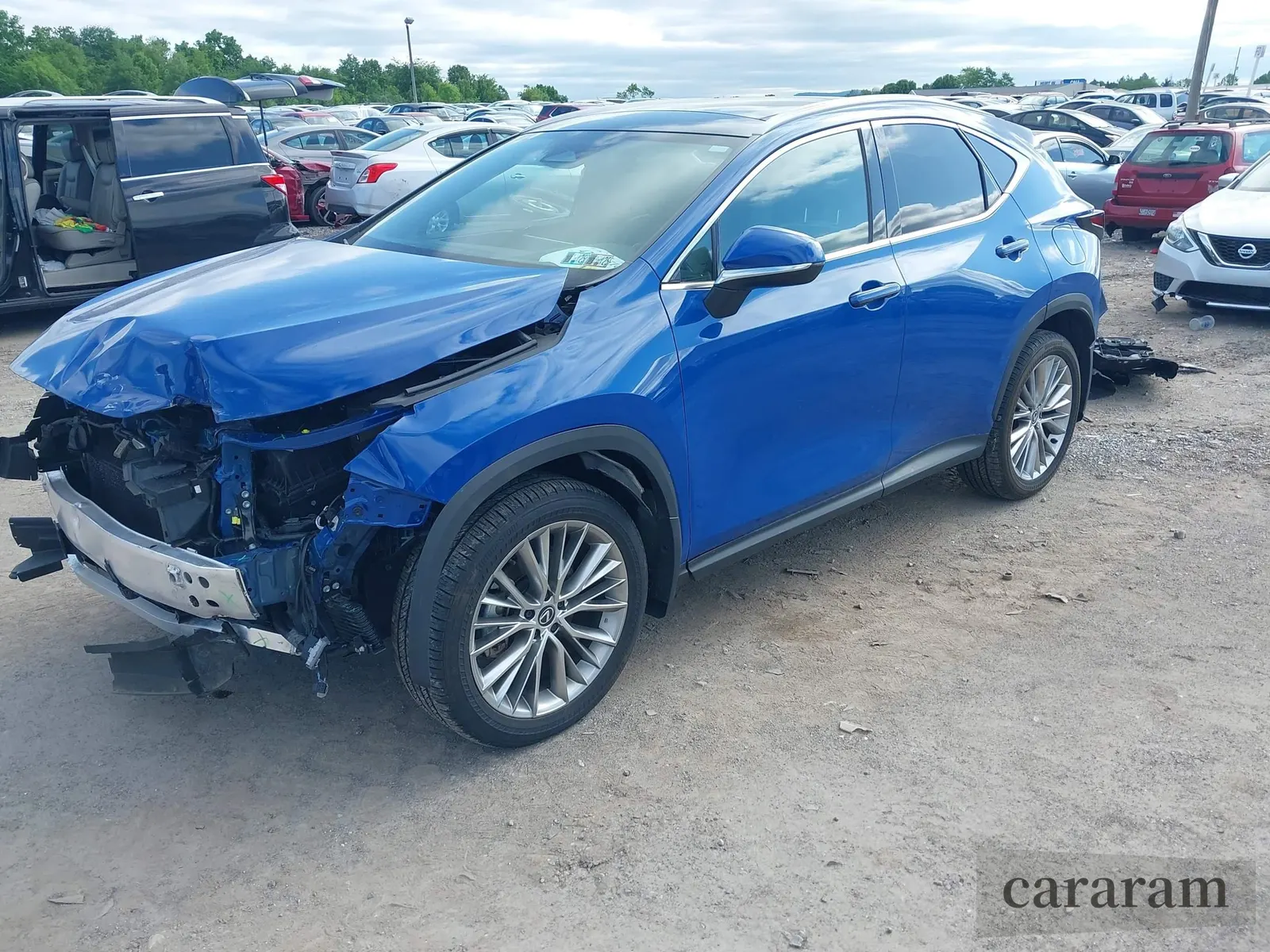 2024 Lexus NX 350h Luxury