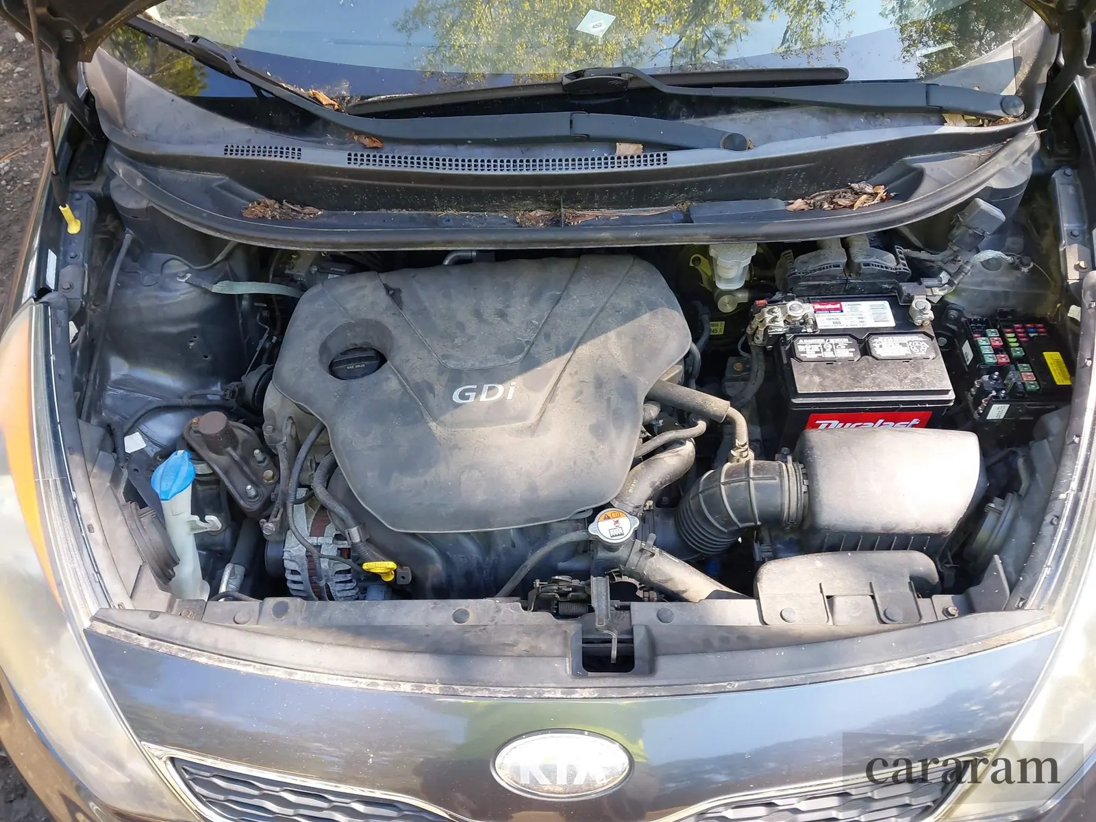 2013 Kia Rio SX