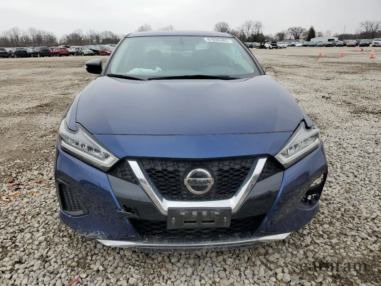 2019 Nissan Maxima Platinum