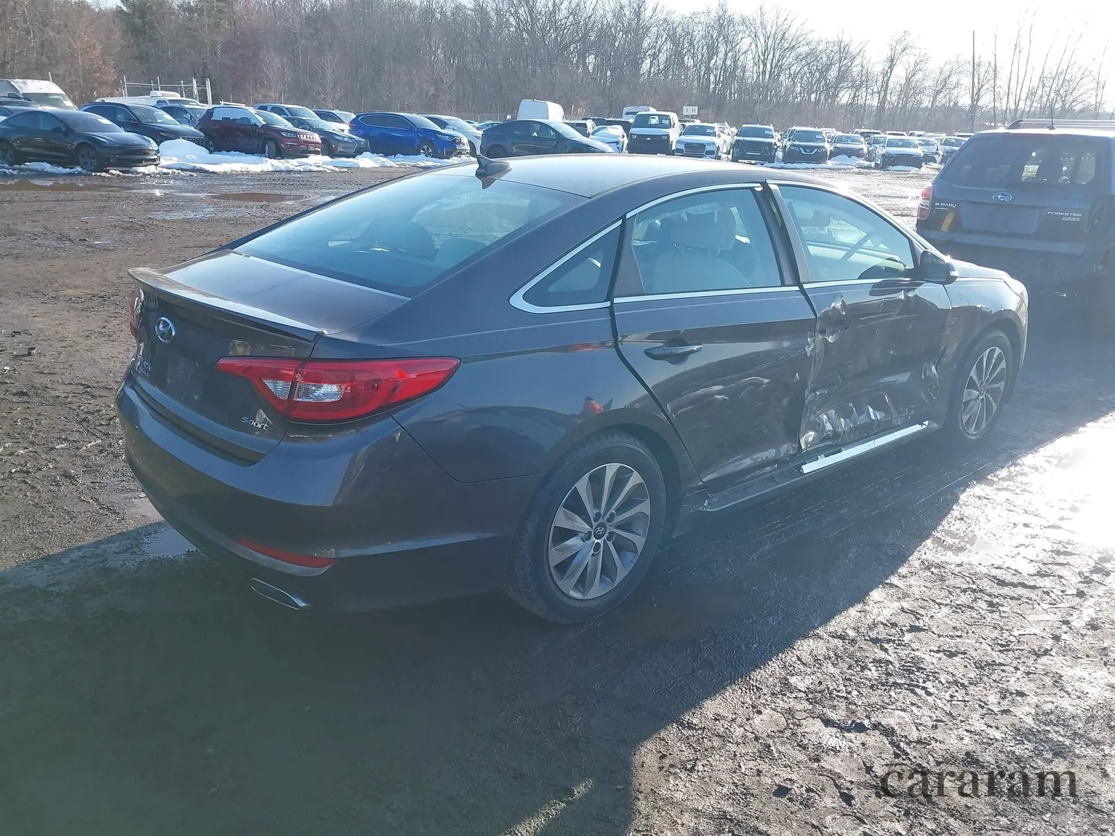 2017 Hyundai Sonata Sport