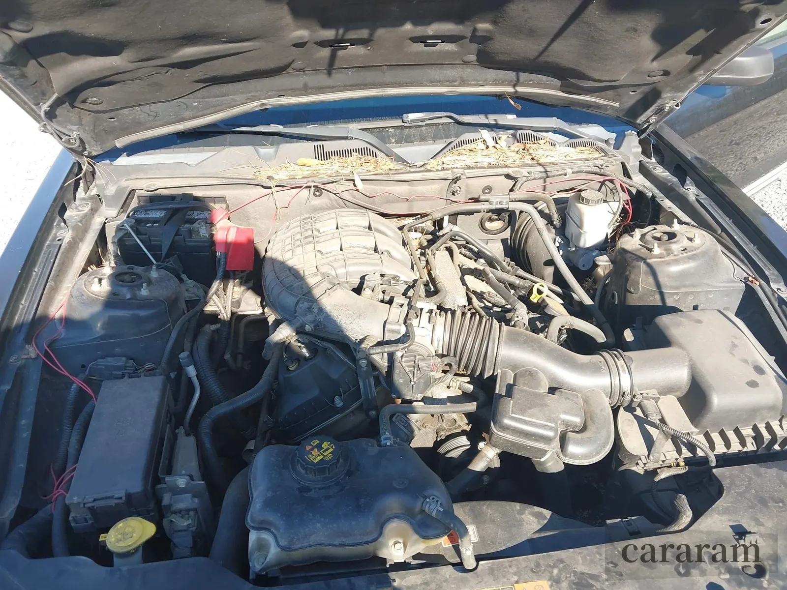 2012 Ford Mustang V6