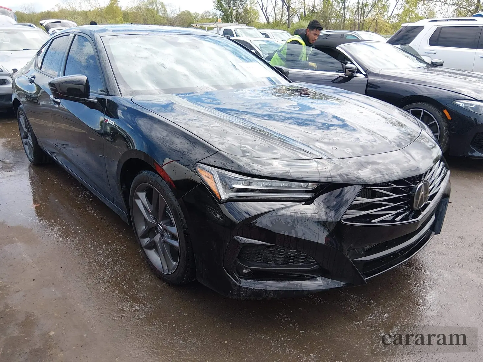 2025 Acura TLX