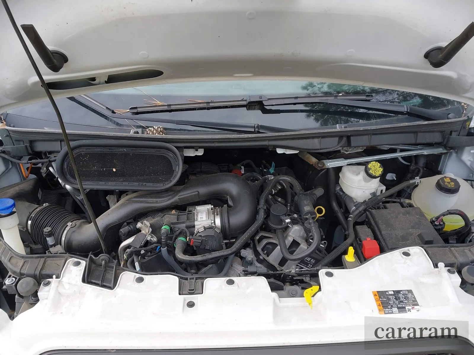 2024 Ford Transit Cargo