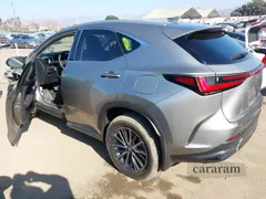2024 Lexus NX 250