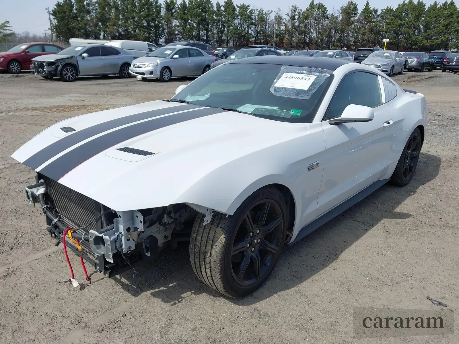 2019 Ford Mustang EcoBoost