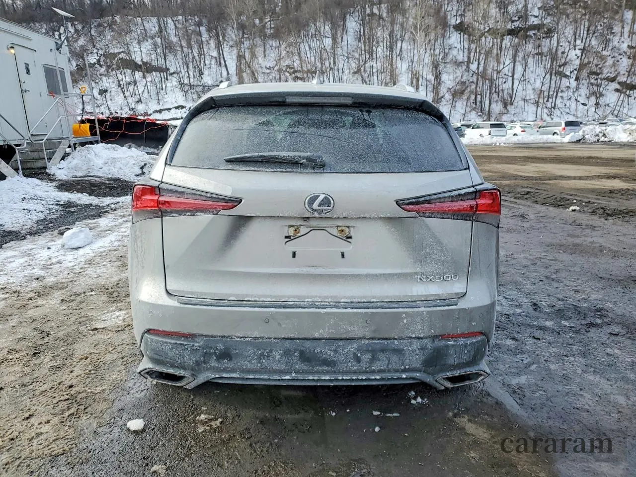 2020 Lexus NX 300