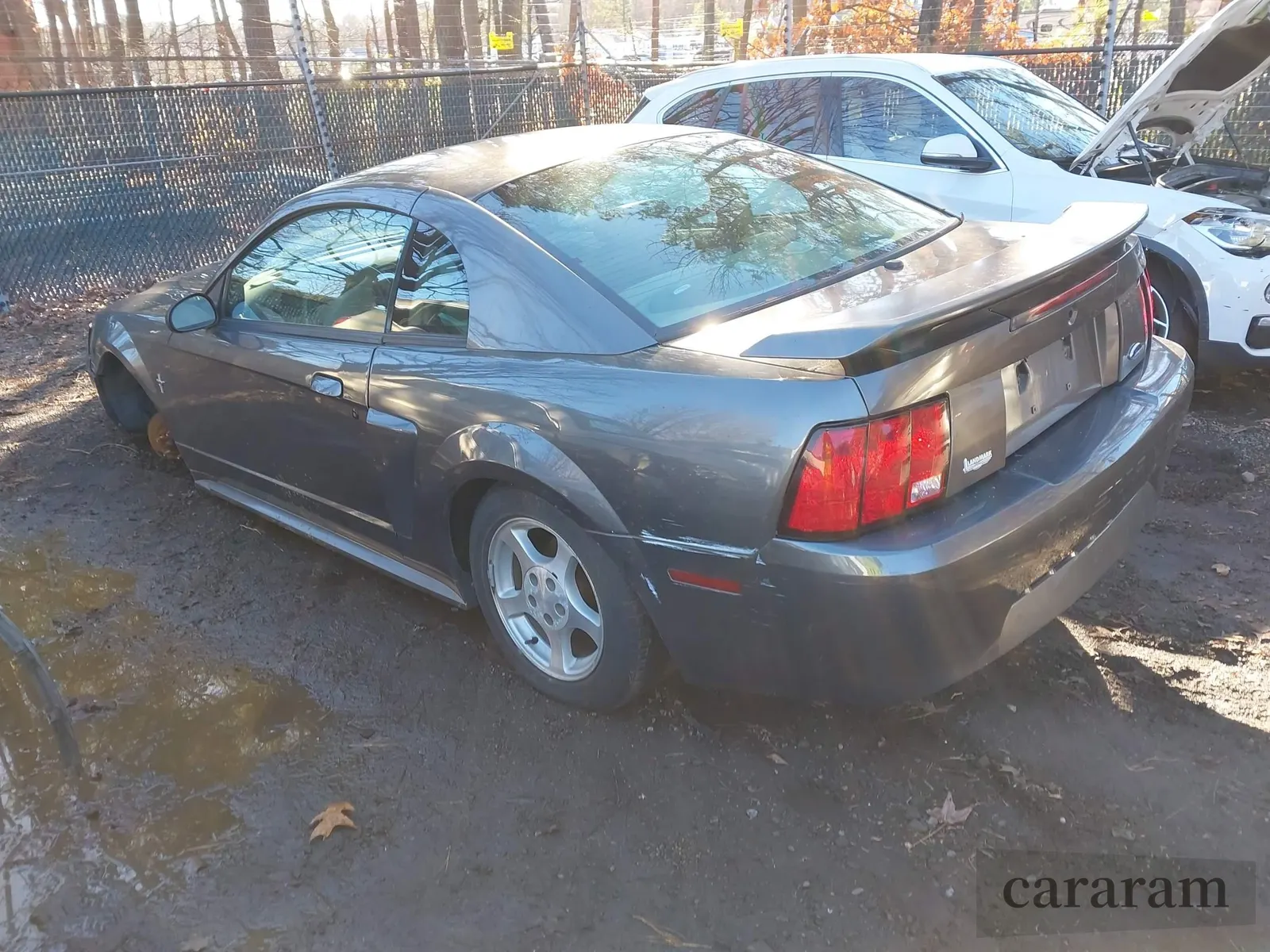 2003 Ford Mustang Standard