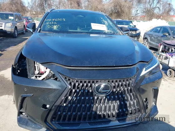 2024 Lexus NX 350h Luxury