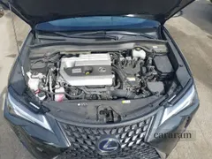 2020 Lexus UX 250h