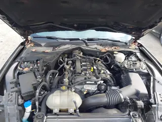 2021 Ford Mustang EcoBoost