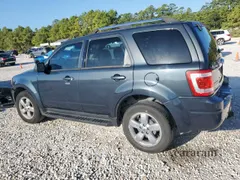 2009 Ford Escape Limited