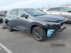 2023 Lexus NX 250 Premium
