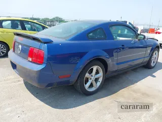 2006 Ford Mustang Standard