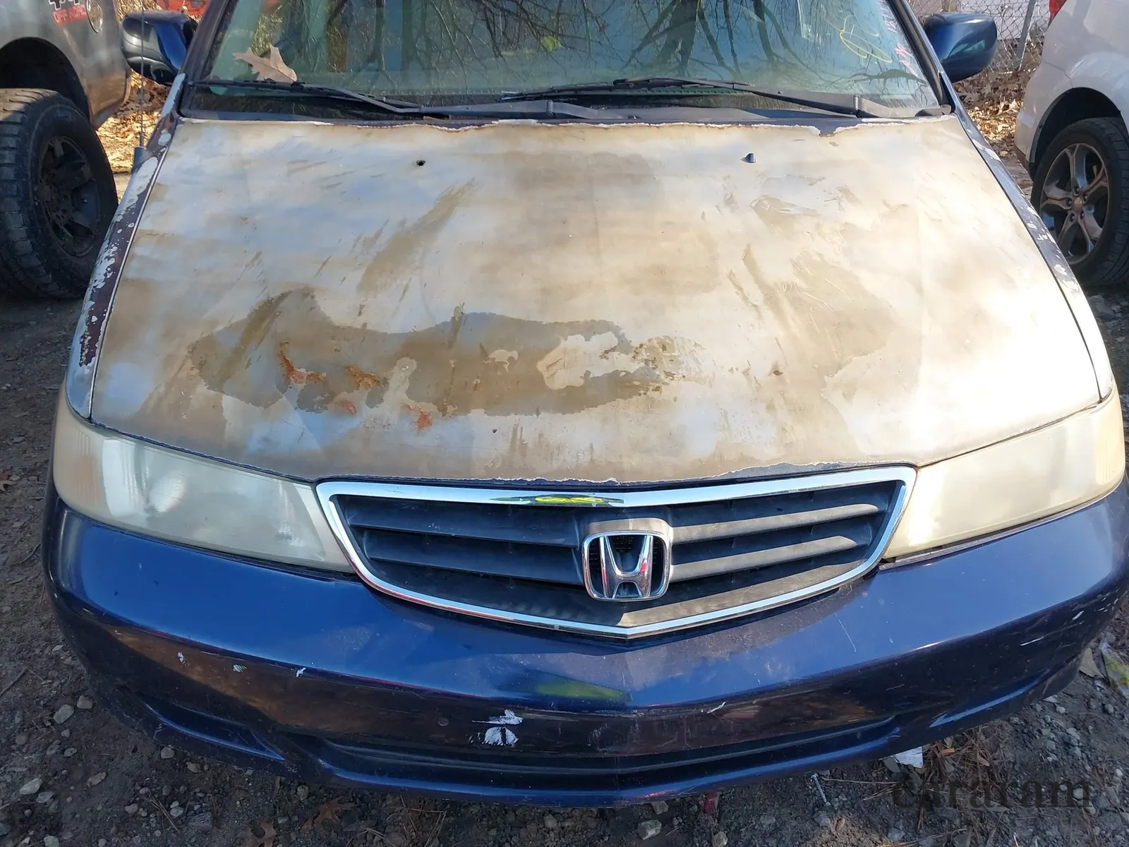 2004 Honda Odyssey EX-RES