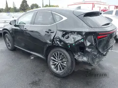 2024 Lexus NX 350h Premium