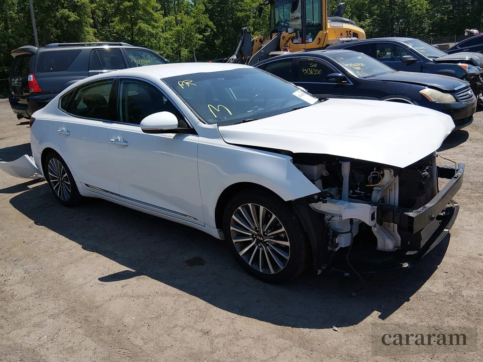 2019 Kia Cadenza Premium