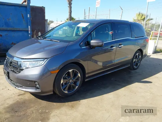 2024 Honda Odyssey Elite