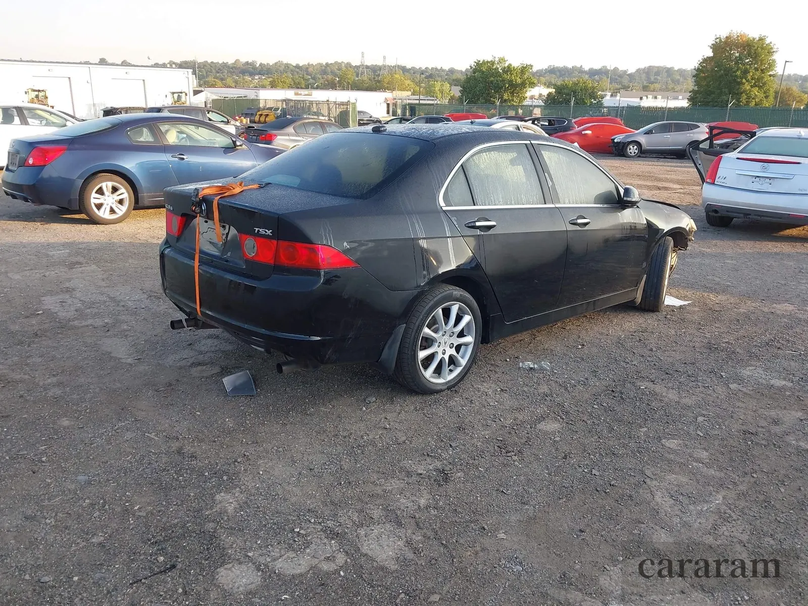 2006 Acura TSX