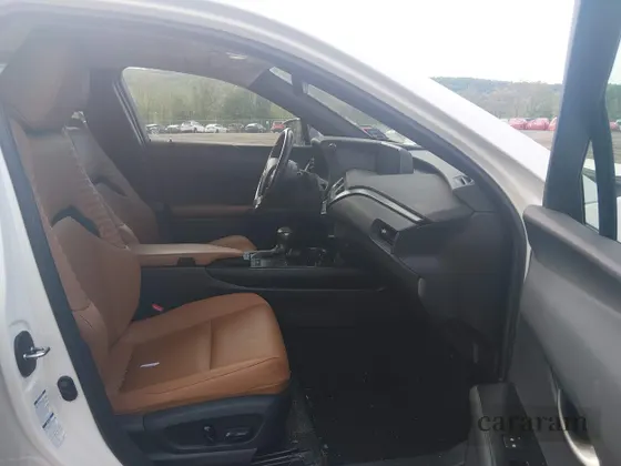 2020 Lexus UX 250h