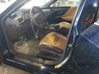 2019 Lexus ES 300h