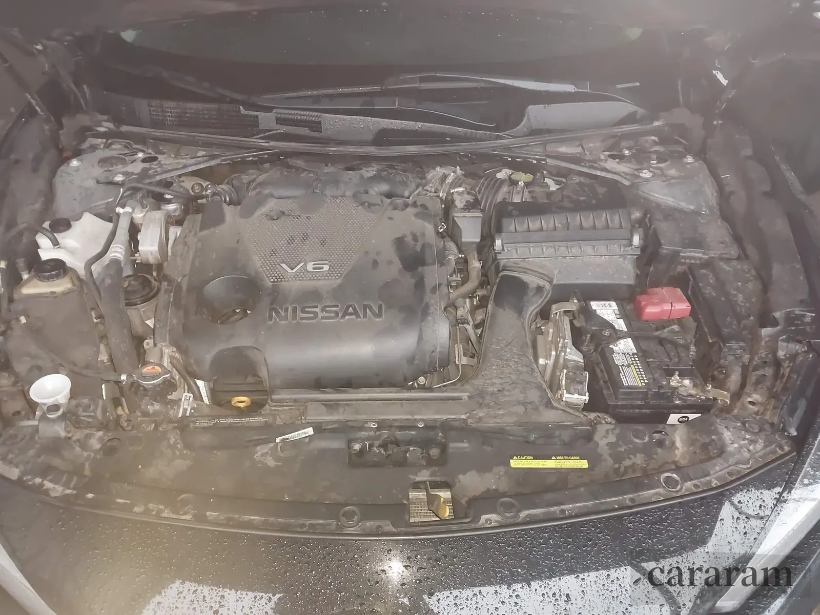2019 Nissan Maxima SV