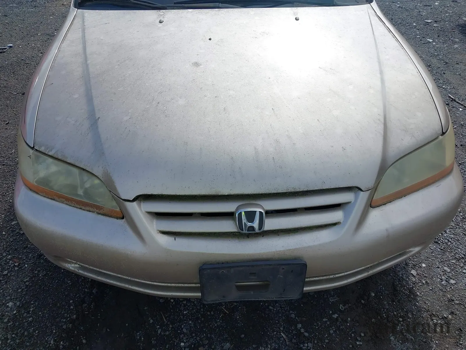 2001 Honda Accord EX