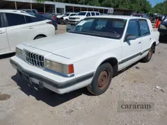1991 Dodge Dynasty LE