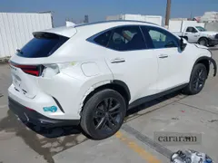 2025 Lexus NX 450h+ Luxury