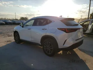 2024 Lexus NX 350