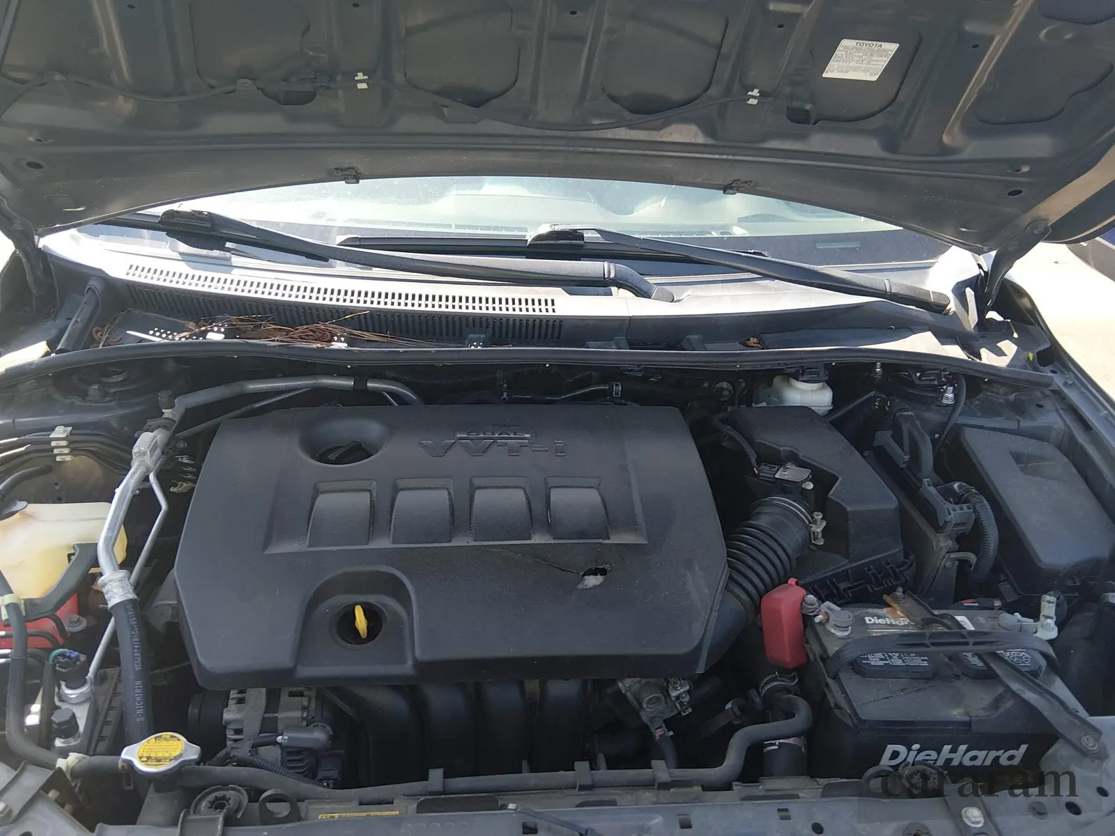 2011 Toyota Corolla LE