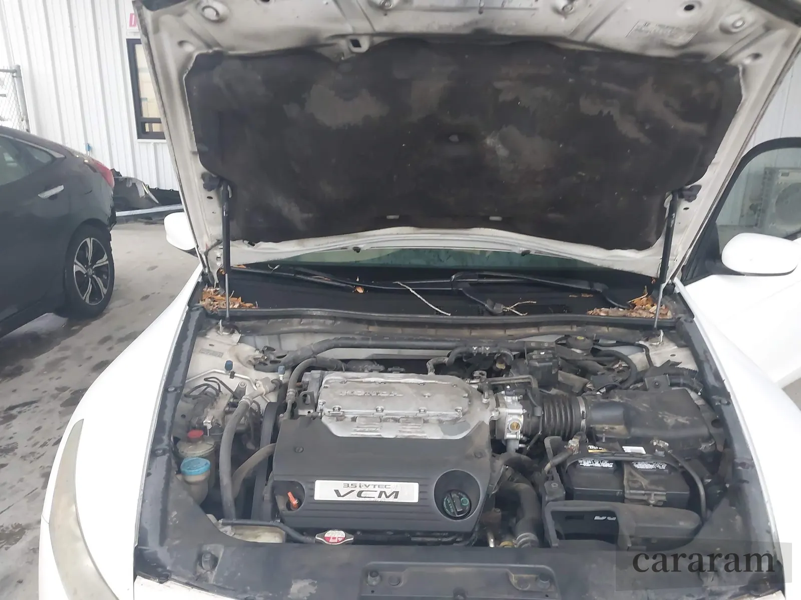 2010 Honda Accord EX-L